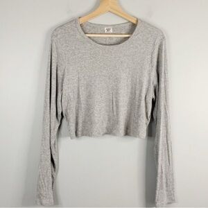 Aritzia Sunday Best Light Gray Crop Top